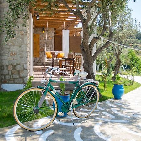 To Stolidi Tis Psinthou Villa Psinthos ภายนอก รูปภาพ