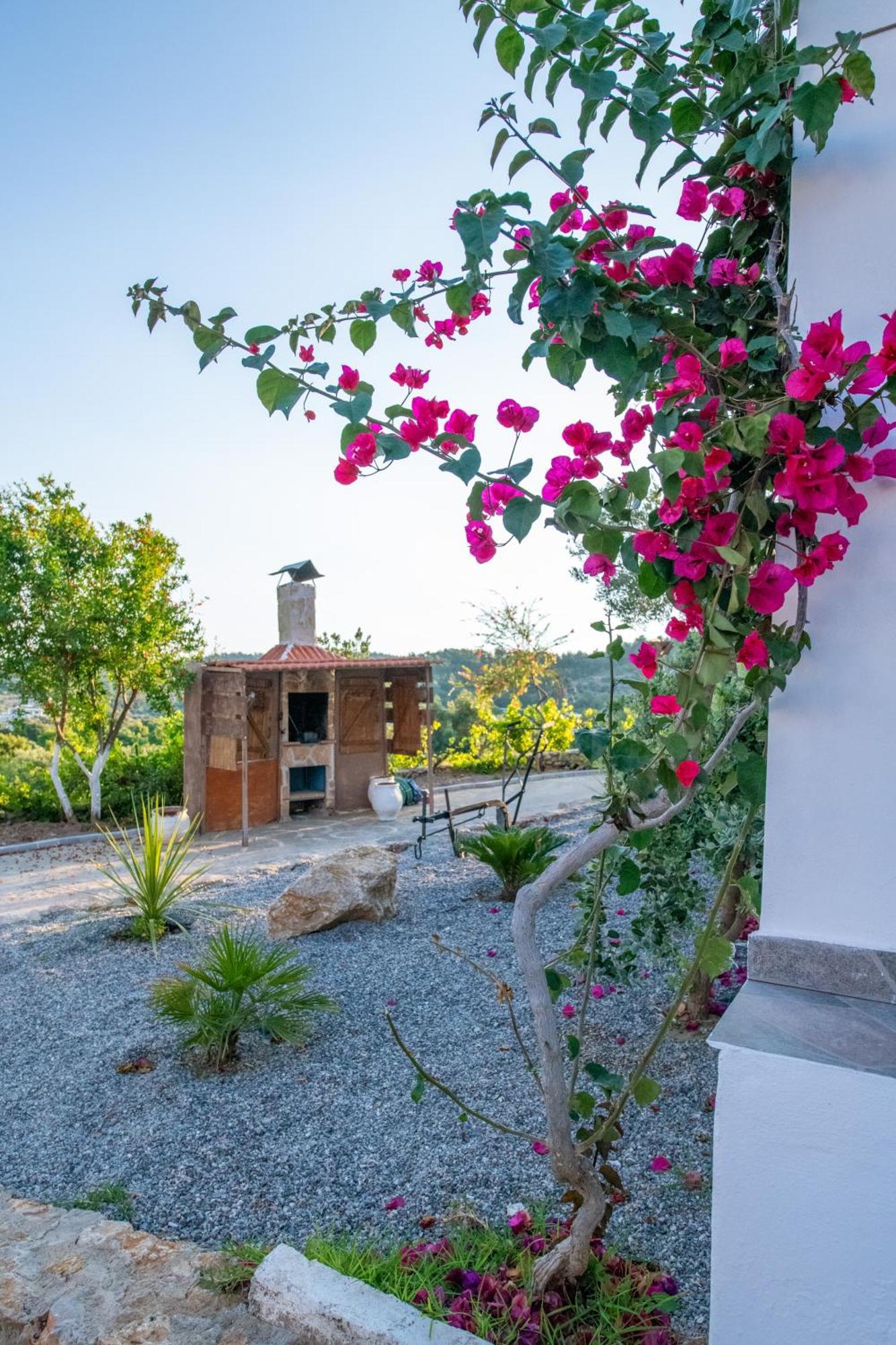 To Stolidi Tis Psinthou Villa Psinthos ภายนอก รูปภาพ