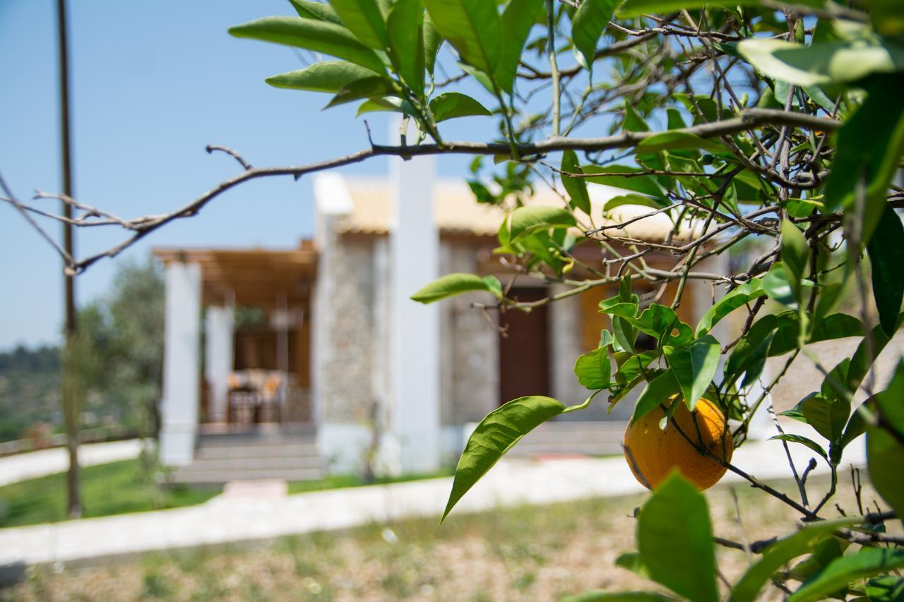 To Stolidi Tis Psinthou Villa Psinthos ภายนอก รูปภาพ